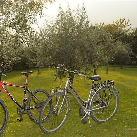 Park Il Vigneto 4*